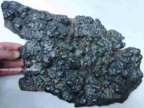 Spectacular Large Botryoidal Hematite Decorator Specimens