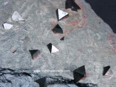 Sericitic Phyllite Matrix with Octahedral Magnetite Crystals